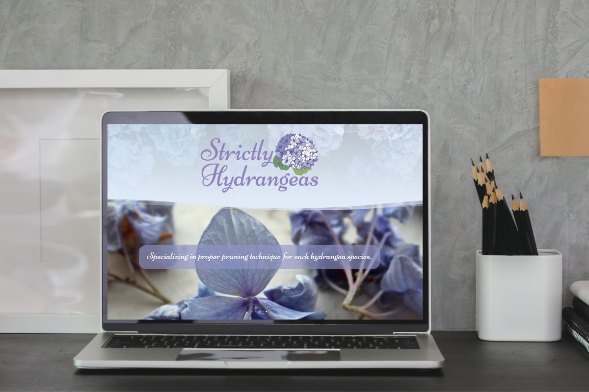 Strictly Hydrangeas Website Design and Build